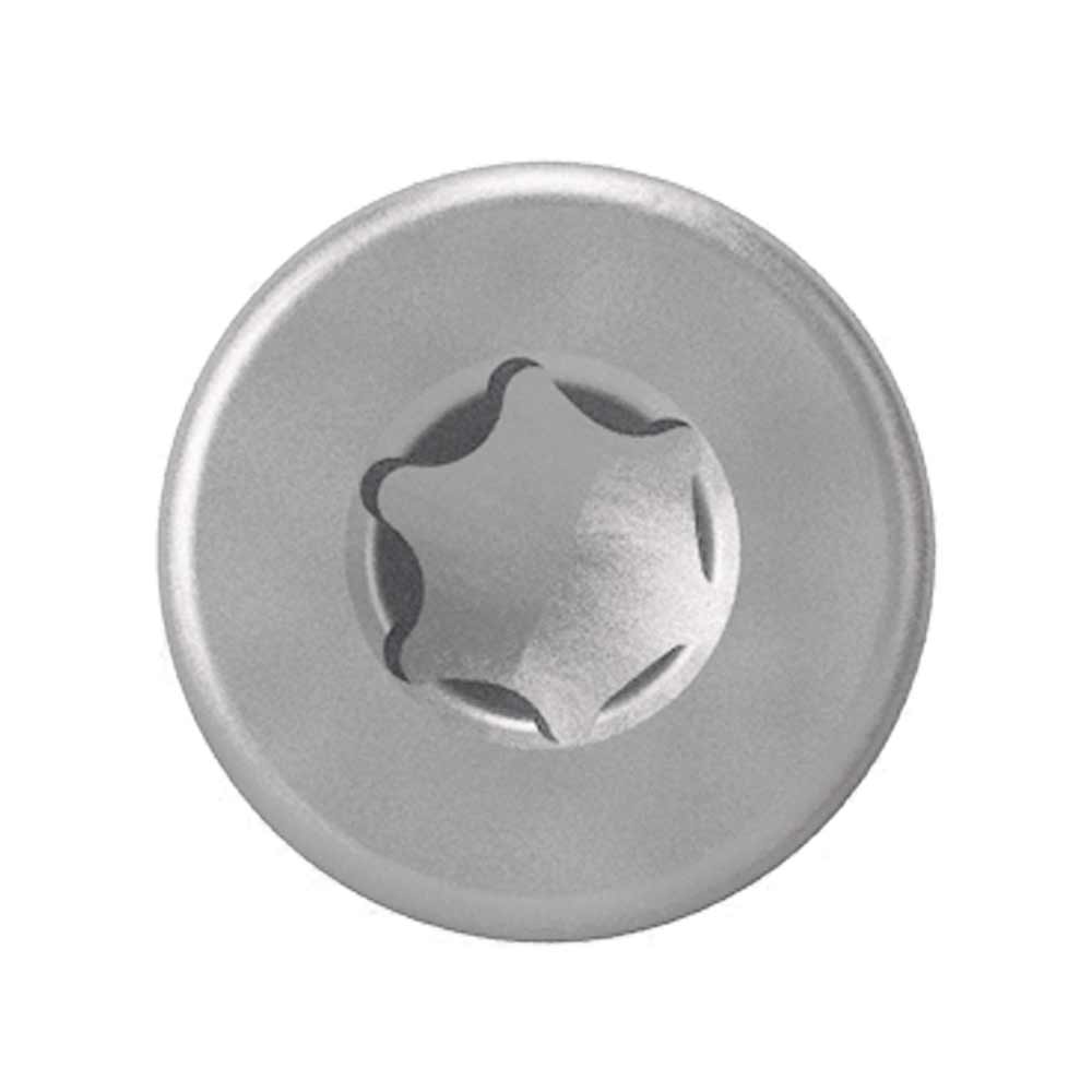 AnchorMark S2-TTT Decking Screw